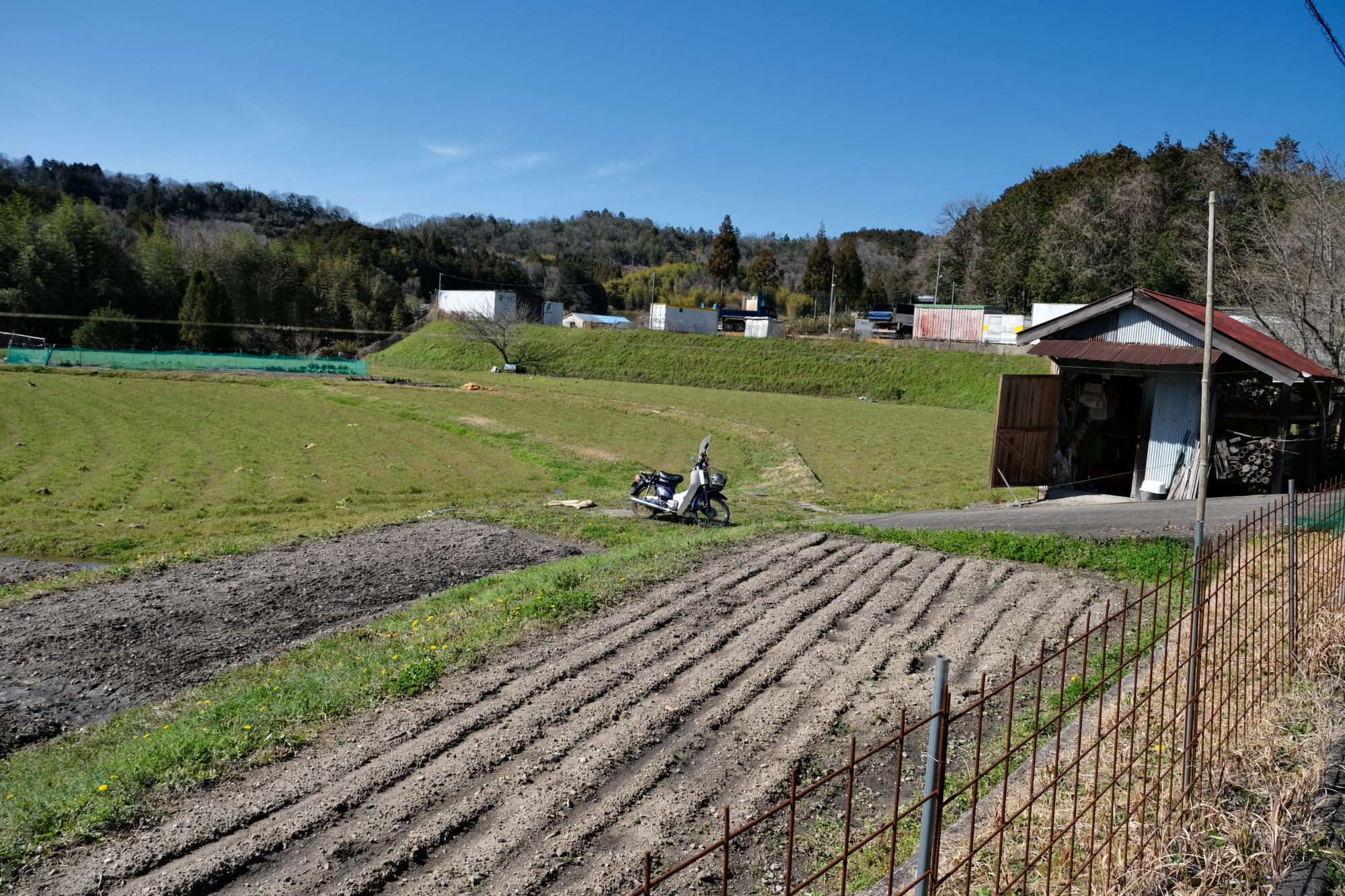 大淀町の畑