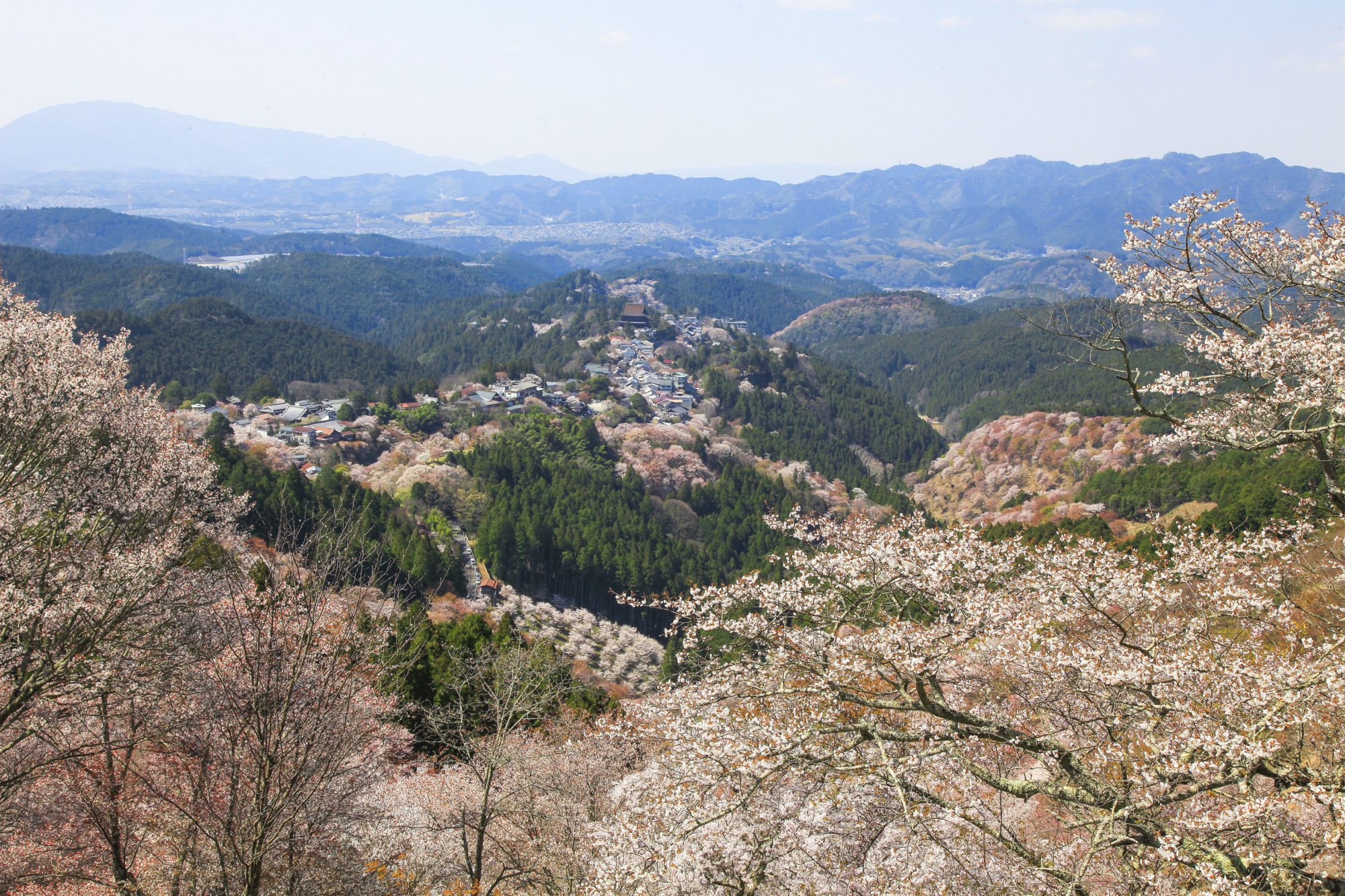 吉野山上千本からの眺め