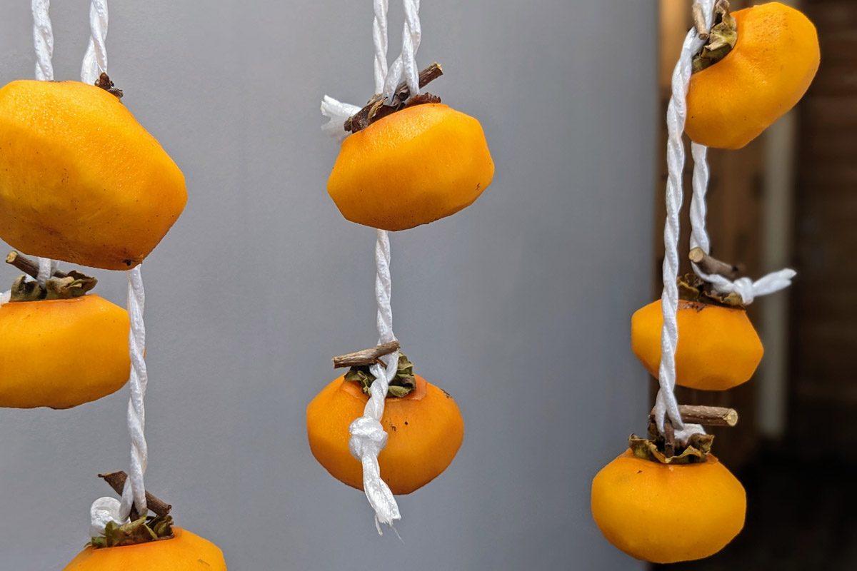 初めてでも出来た干し柿。簡単な作り方とポイント